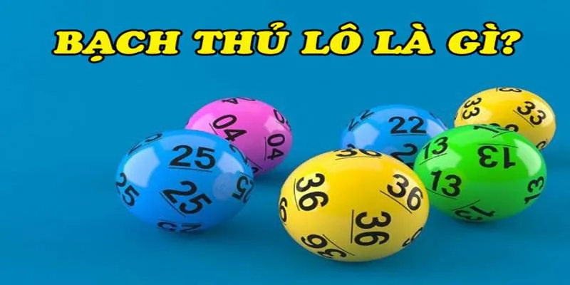 BẠCH THỦ LÔ LÀ GÌ?