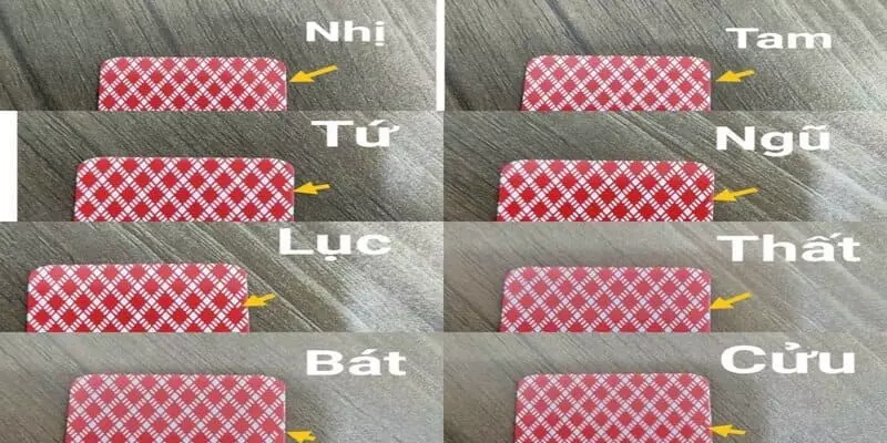 Bài chắn lỗi nghệ thuật bịp 99% là gì?