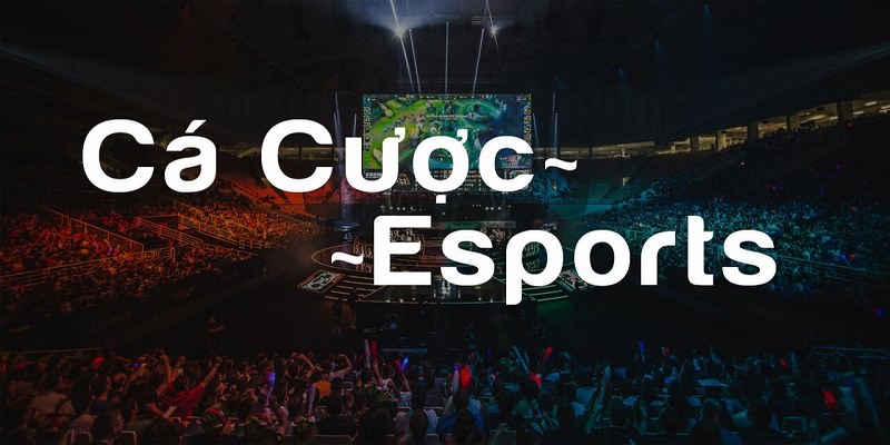 Những ưu điểm nổi bật của game Esport mobile